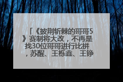 《披荆斩棘的哥哥5》赛制将大改，不再是找30位哥哥进行比拼，苏醒、王栎鑫、王铮亮、张远等多名男团选手被曝将参加
