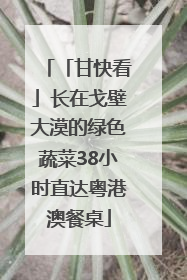 「甘快看」长在戈壁大漠的绿色蔬菜38小时直达粤港澳餐桌