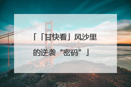 「甘快看」风沙里的逆袭“密码”