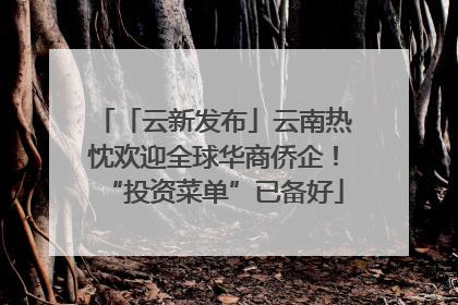「云新发布」云南热忱欢迎全球华商侨企！“投资菜单”已备好