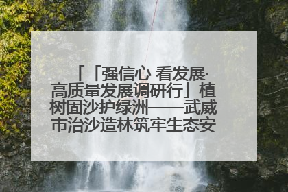 「强信心 看发展·高质量发展调研行」植树固沙护绿洲——武威市治沙造林筑牢生态安全屏障见闻