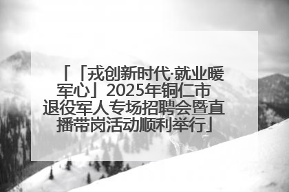「戎创新时代·就业暖军心」2025年铜仁市退役军人专场招聘会暨直播带岗活动顺利举行