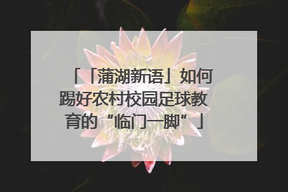 「蒲湖新语」如何踢好农村校园足球教育的“临门一脚”