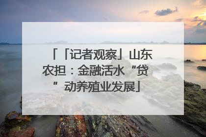 「记者观察」山东农担：金融活水“贷”动养殖业发展