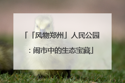 「风物郑州」人民公园：闹市中的生态宝藏