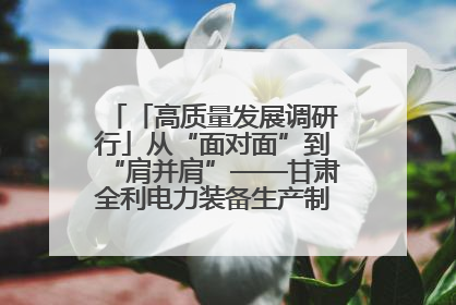 「高质量发展调研行」从“面对面”到“肩并肩”——甘肃全利电力装备生产制造项目一线见闻