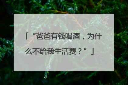 “爸爸有钱喝酒，为什么不给我生活费？”