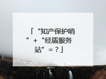 “知产保护哨”+“经盾服务站”=？