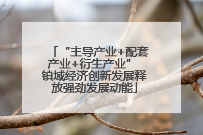 “主导产业+配套产业+衍生产业” 镇域经济创新发展释放强劲发展动能