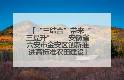 “三结合”带来“三提升”——安徽省六安市金安区创新推进高标准农田建设