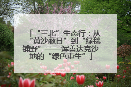 “三北”生态行：从“黄沙蔽日”到“绿毯铺野”——浑善达克沙地的“绿色重生”