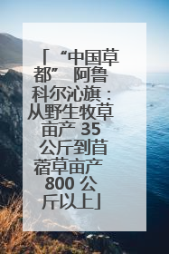 “中国草都” 阿鲁科尔沁旗：从野生牧草亩产 35 公斤到苜蓿草亩产 800 公斤以上