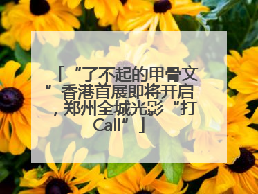 “了不起的甲骨文”香港首展即将开启，郑州全城光影“打Call”