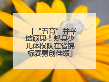 “五育”并举结硕果！郏县少儿体操队在省锦标赛勇创佳绩