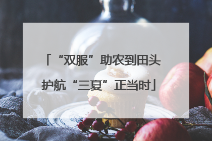 “双服”助农到田头 护航“三夏”正当时