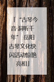 “古琴今音·洞听千年” 岳阳古琴文化快闪活动惊艳亮相