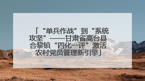 “单兵作战”到“系统攻坚”——甘肃省高台县合黎镇“四化一评”激活农村党员管理新引擎