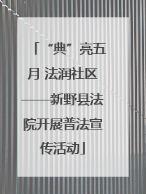 “典”亮五月 法润社区——新野县法院开展普法宣传活动