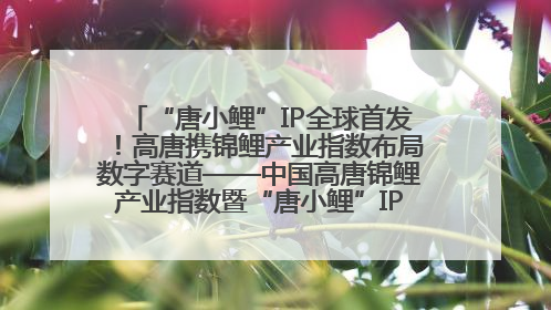 “唐小鲤”IP全球首发！高唐携锦鲤产业指数布局数字赛道——中国高唐锦鲤产业指数暨“唐小鲤”IP全球首发仪式在杭州举行