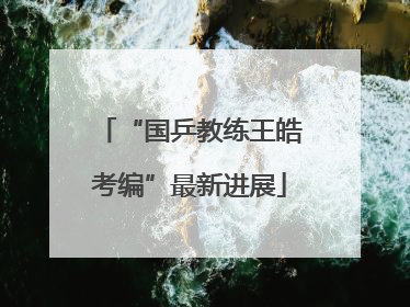 “国乒教练王皓考编”最新进展