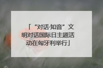 “对话·知音”文明对话国际日主题活动在匈牙利举行