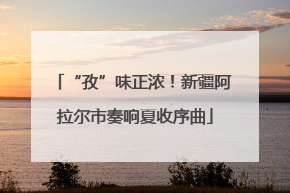“孜”味正浓！新疆阿拉尔市奏响夏收序曲