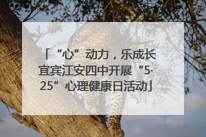 “心”动力，乐成长 宜宾江安四中开展“5·25”心理健康日活动