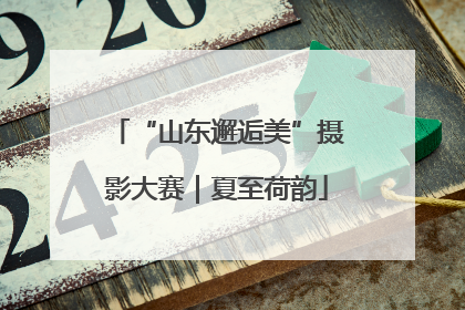 “山东邂逅美”摄影大赛｜夏至荷韵