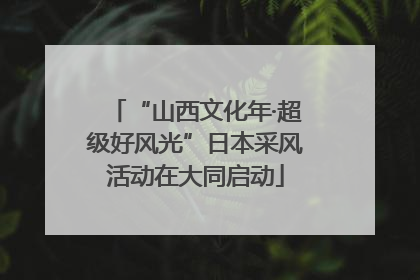 “山西文化年·超级好风光”日本采风活动在大同启动