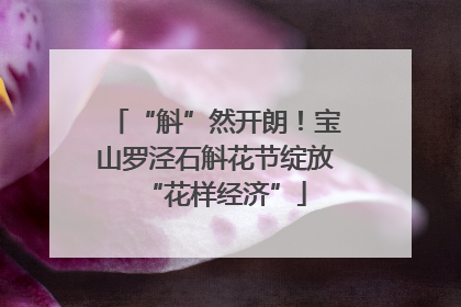 “斛”然开朗！宝山罗泾石斛花节绽放“花样经济”
