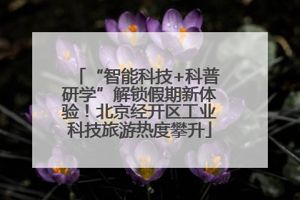 “智能科技+科普研学”解锁假期新体验！北京经开区工业科技旅游热度攀升