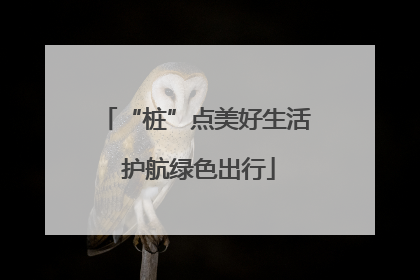 “桩”点美好生活 护航绿色出行