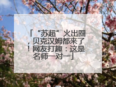 “苏超”火出圈，贝克汉姆都来了！网友打趣：这是名师一对一