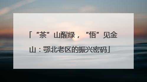 “茶”山醒绿，“悟”见金山：鄂北老区的振兴密码