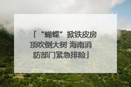 “蝴蝶”掀铁皮房顶吹倒大树 海南消防部门紧急排险