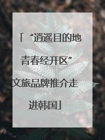 “逍遥目的地 青春经开区”文旅品牌推介走进韩国