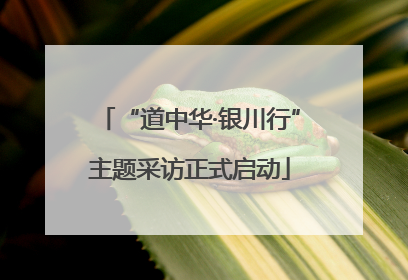 “道中华·银川行”主题采访正式启动