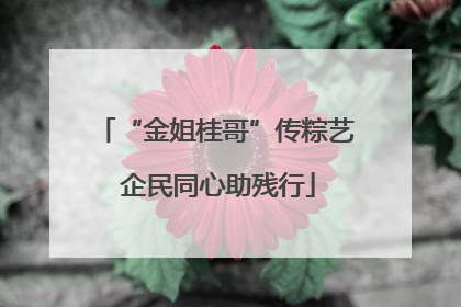 “金姐桂哥”传粽艺 企民同心助残行