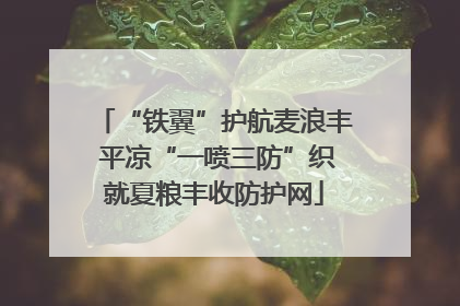 “铁翼”护航麦浪丰 平凉“一喷三防”织就夏粮丰收防护网