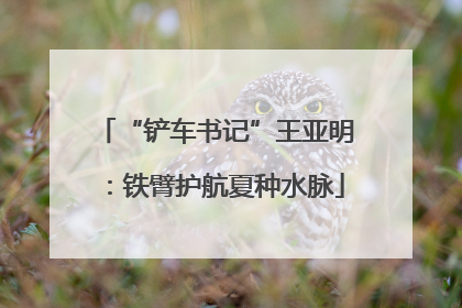 “铲车书记”王亚明：铁臂护航夏种水脉