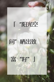 “阳光空间”晒出致富“籽”