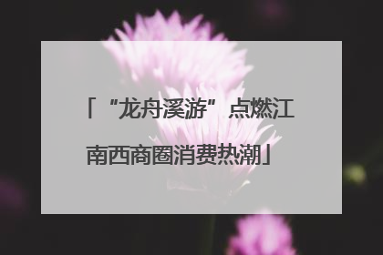 “龙舟溪游”点燃江南西商圈消费热潮
