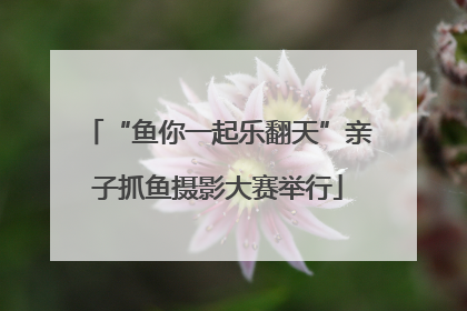 “鱼你一起乐翻天”亲子抓鱼摄影大赛举行