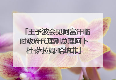 王予波会见阿富汗临时政府代理副总理阿卜杜·萨拉姆·哈纳菲