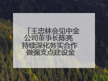 王忠林会见中金公司董事长陈亮 持续深化务实合作 做强支点建设金融支撑