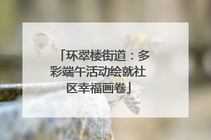 环翠楼街道：多彩端午活动绘就社区幸福画卷