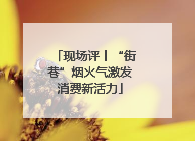 现场评丨“街巷”烟火气激发消费新活力