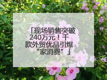 现场销售突破240万元！千款外贸优品引爆“家消费”