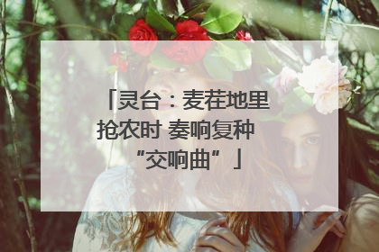 灵台：麦茬地里抢农时 奏响复种“交响曲”