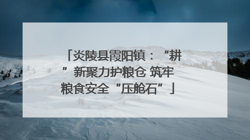炎陵县霞阳镇：“耕”新聚力护粮仓 筑牢粮食安全“压舱石”